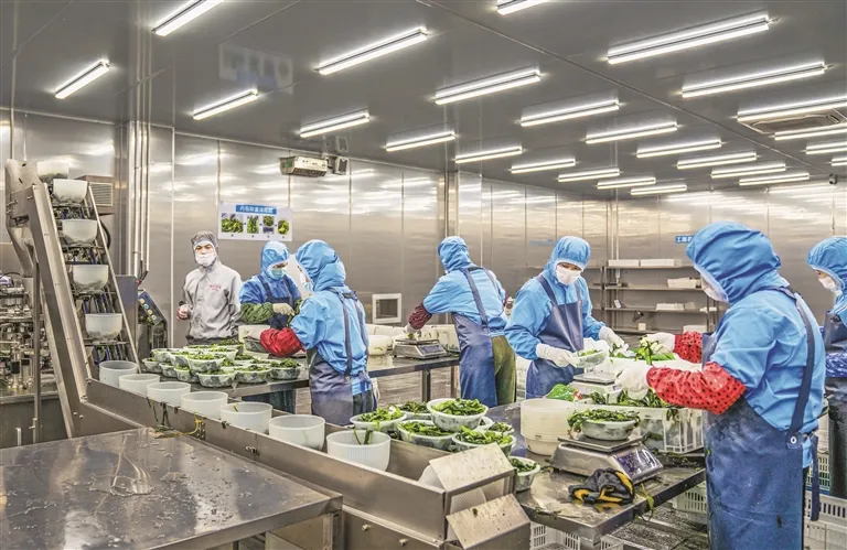 山东某食品包装双段式真空改造:粗精抽分离攻克多孔介质深抽难题
